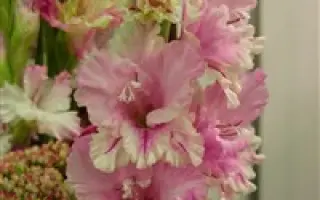 АНДРЕЙ САХАРОВ