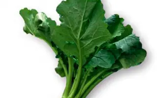 АЖИ САЛАД КАБУ