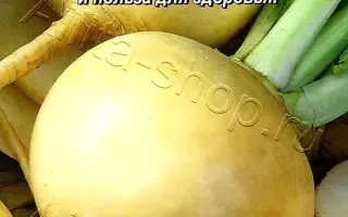 ГОЛДЕН БОЛЛ