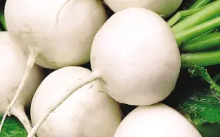 СНЕГУРОЧКА