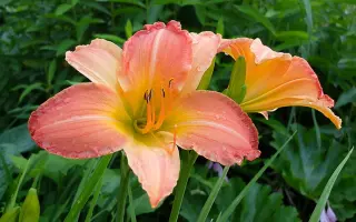 ЭБСТРАКТ АРТ