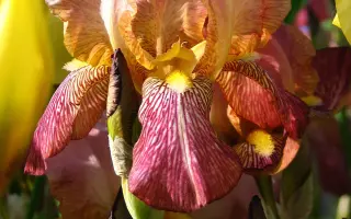 АНДРЕЙ КНЯЗЕВ