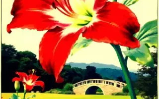 МАЛИНОВОЕ ОЗЕРО