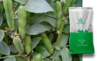 УЗУНОВСКИЕ