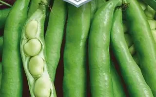 ЦАРСКИЙ УРОЖАЙ