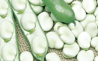 РУССКИЕ БЕЛЫЕ