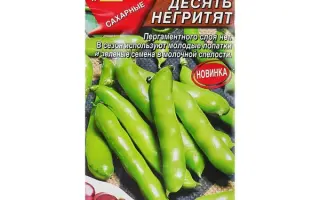 ДЕСЯТЬ НЕГРИТЯТ