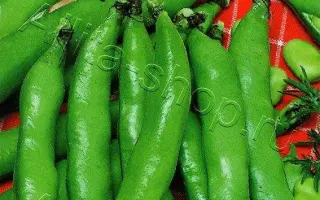 ЧЕРНАЯ ЖЕМЧУЖИНА