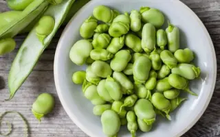 БОБЧИНСКИЕ