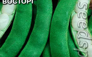 ДЕТСКИЙ ВОСТОРГ