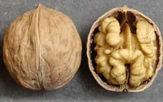 ПЕСЧАНСКИЙ