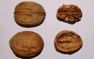 ПОДАРОК ВАЛЕНТИНЫ