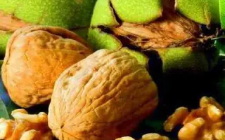 АЛЬМИНСКИЙ