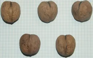 ПАМЯТИ ПАСЕНКОВА