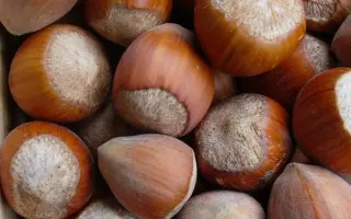 КАРАМАНОВСКИЙ