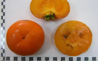 МВГ ОМАРОВА