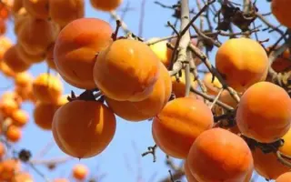 ГОРА РОДЖЕРС