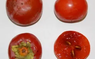 НИКИТСКАЯ БОРДОВАЯ