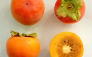 ЮЖНАЯ КРАСАВИЦА