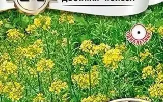 СЕМЕНОВСКАЯ