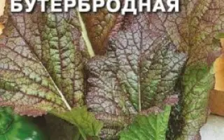 БУТЕРБРОДНАЯ