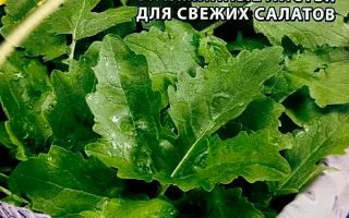 ЗАКУСОЧНАЯ