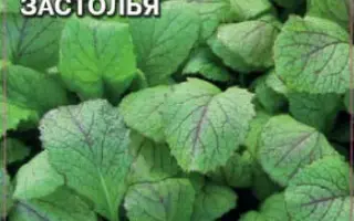 КРАСАВИЦА ЗАСТОЛЬЯ