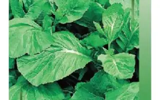 ПРЕЛЕСТНАЯ