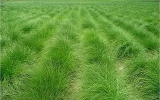 СВЕРДЛОВСКАЯ