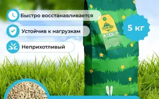 ДЖАСПЕРИНА