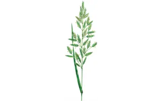 МОРШАНСКАЯ 1304