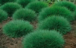 НАЛЬЧИКСКАЯ 1