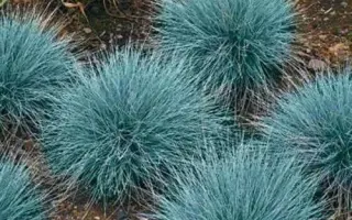 СЕВЕРОДВИНСКАЯ 130