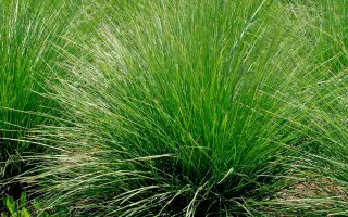 КРАСНОДАРСКАЯ 14