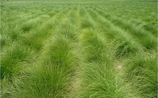 МОРШАНСКАЯ 4