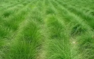 ПЕНЗЕНСКАЯ 1