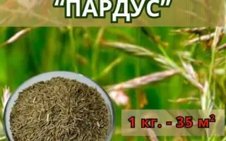 ПАРДУС