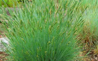 ВАЛДАЙСКАЯ