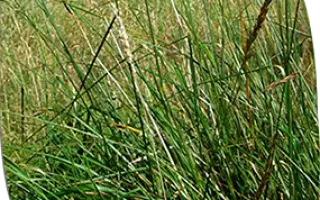 КРАСНОПОЙМСКАЯ 92