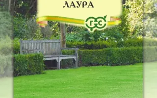 ЛАУРА
