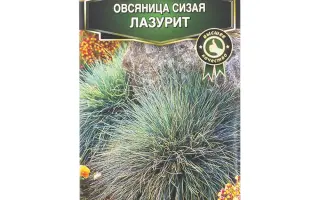 ЛОБНЕНСКАЯ 24