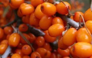 ВАЛЕНТИНКА