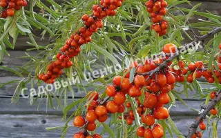 ПАМЯТИ ЗАХАРОВОЙ