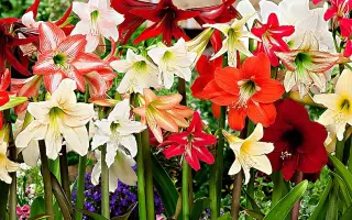 ВЕСЕННИЙ МОТИВ