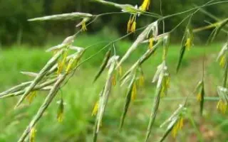 СВЕРДЛОВСКИЙ 38