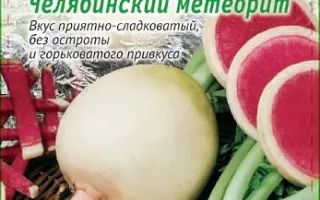 ЧЕЛЯБИНСКИЙ МЕТЕОРИТ