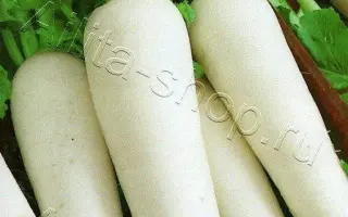 ЗУБ ДРАКОНА