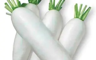 СПРИНГ ВАЙТ