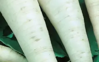 БИВЕНЬ МАМОНТА