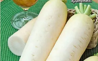 МОСКОВСКИЙ БОГАТЫРЬ